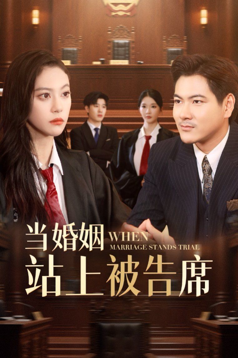 当婚姻站上被告席(全集)