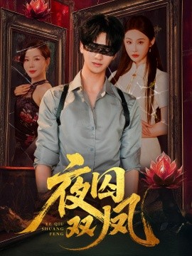 夜囚双凤(全集)